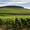 Côte de Beaune